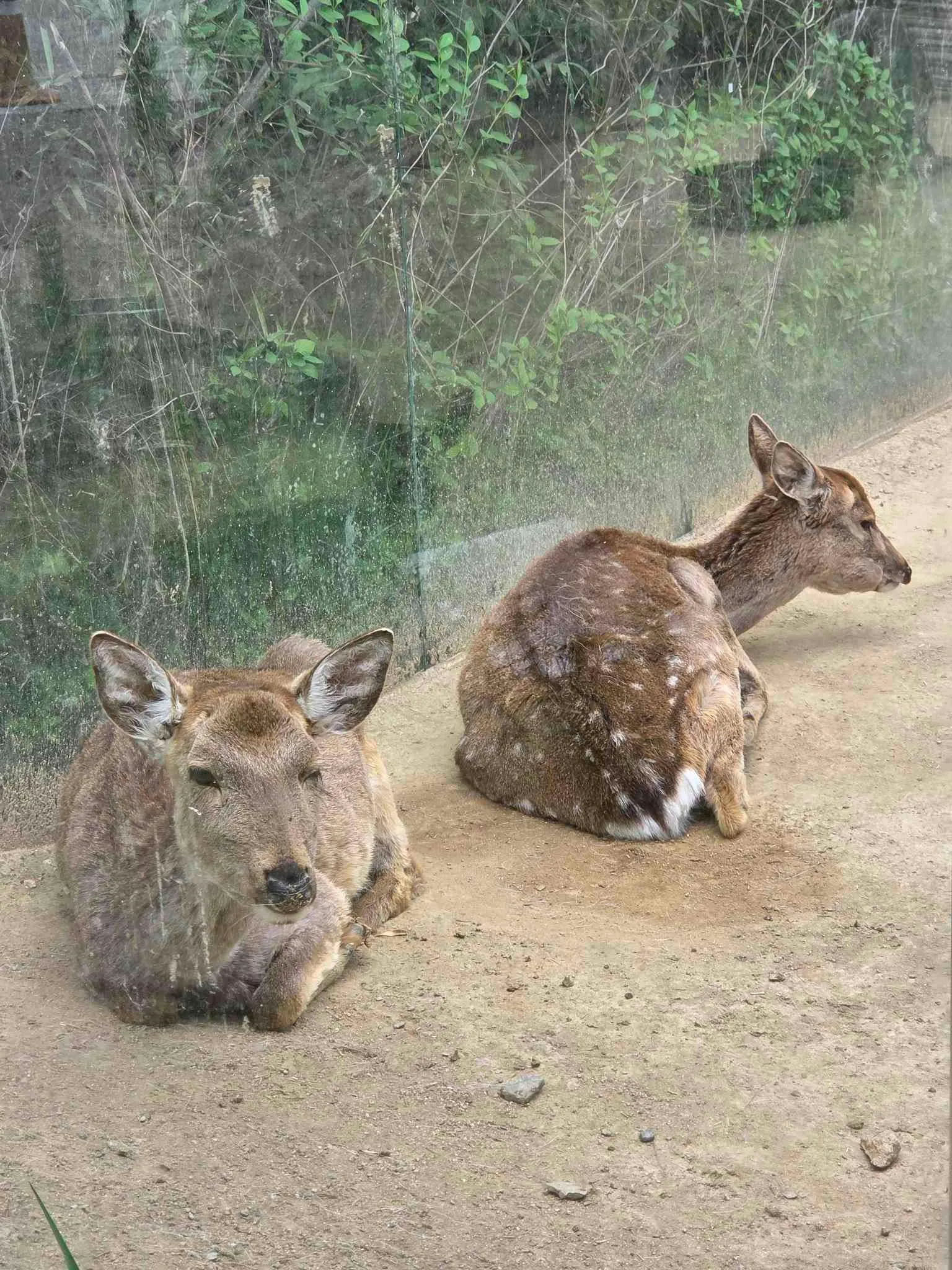 대표 사진 3