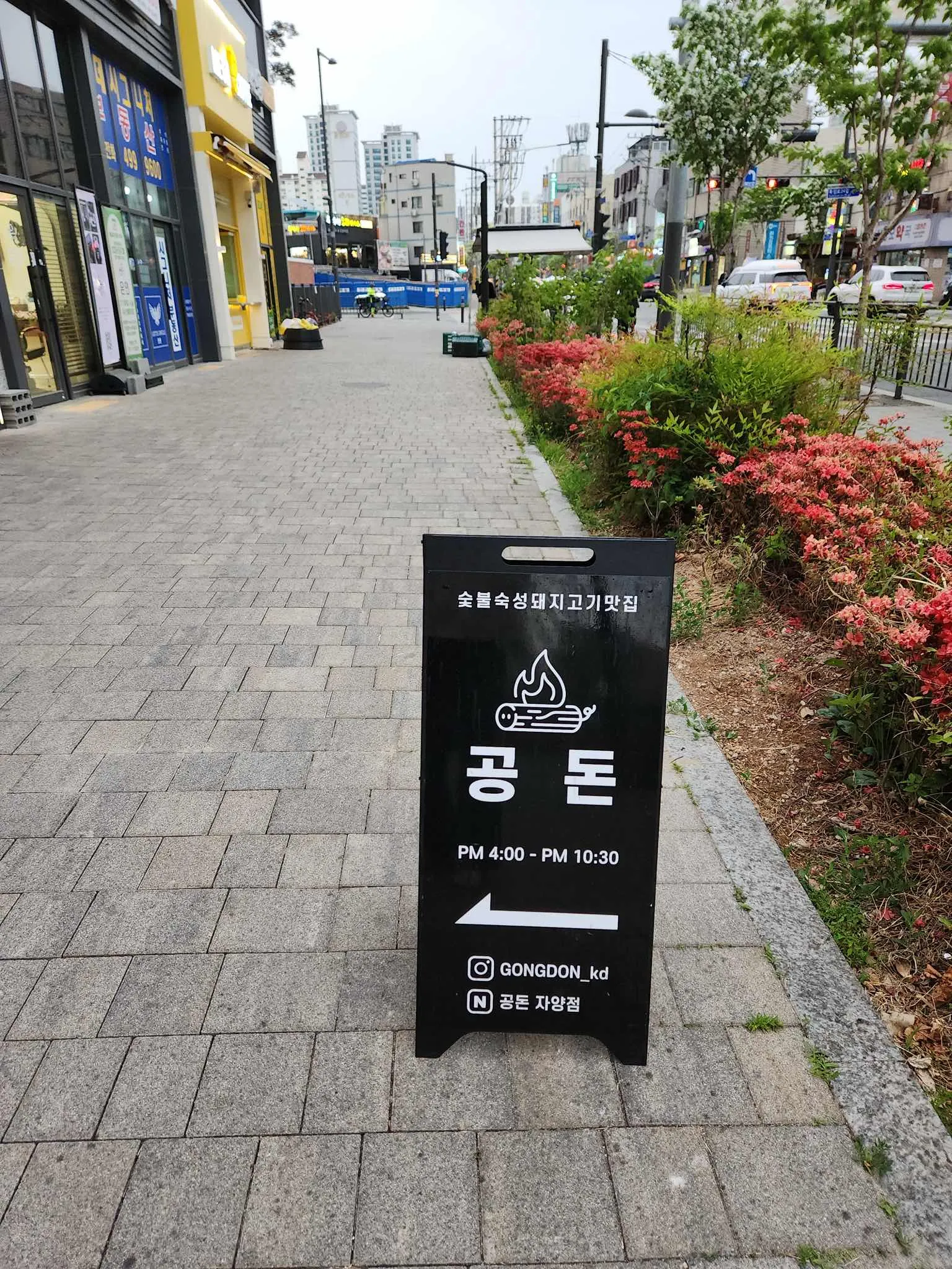 대표 사진 4