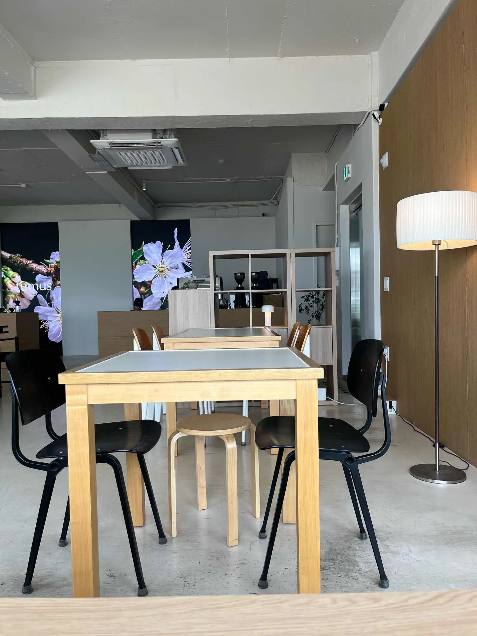 대표 사진 4