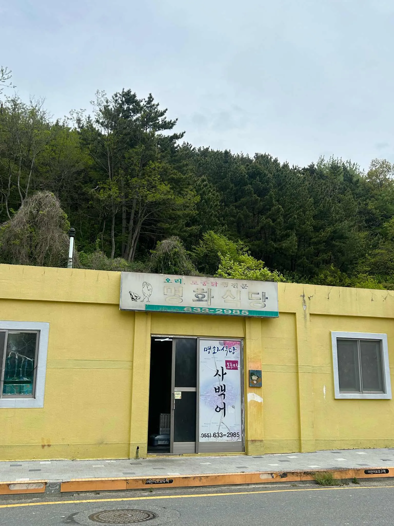 대표 사진 4