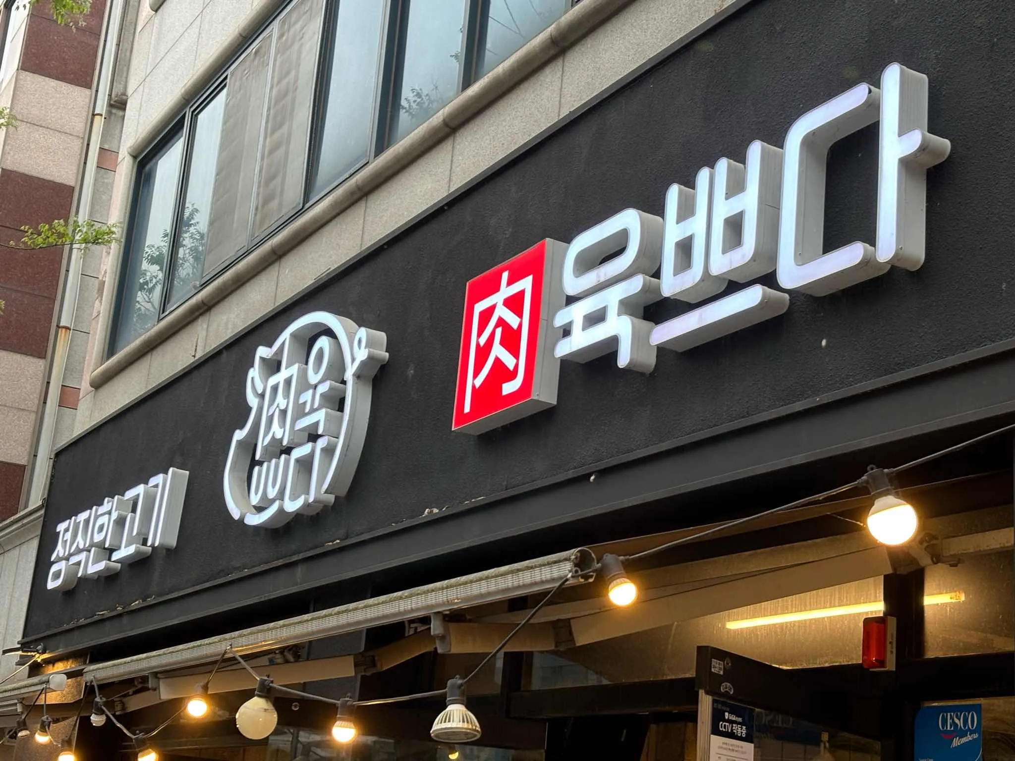 대표 사진 4