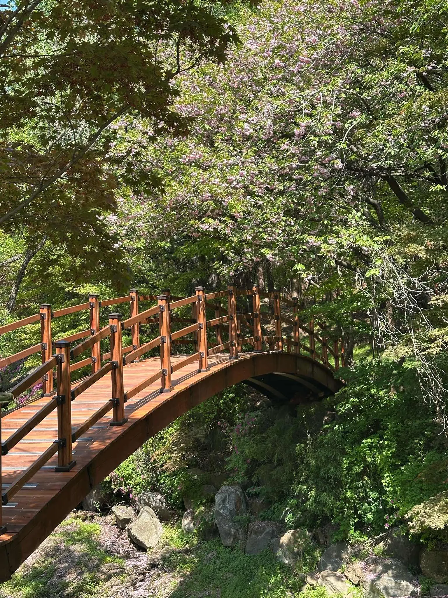 대표 사진 3