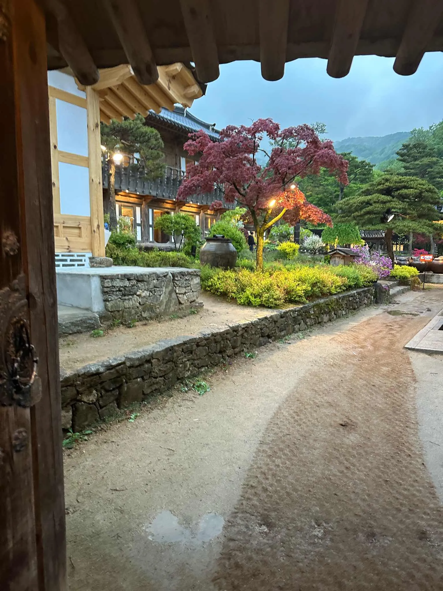 대표 사진 3
