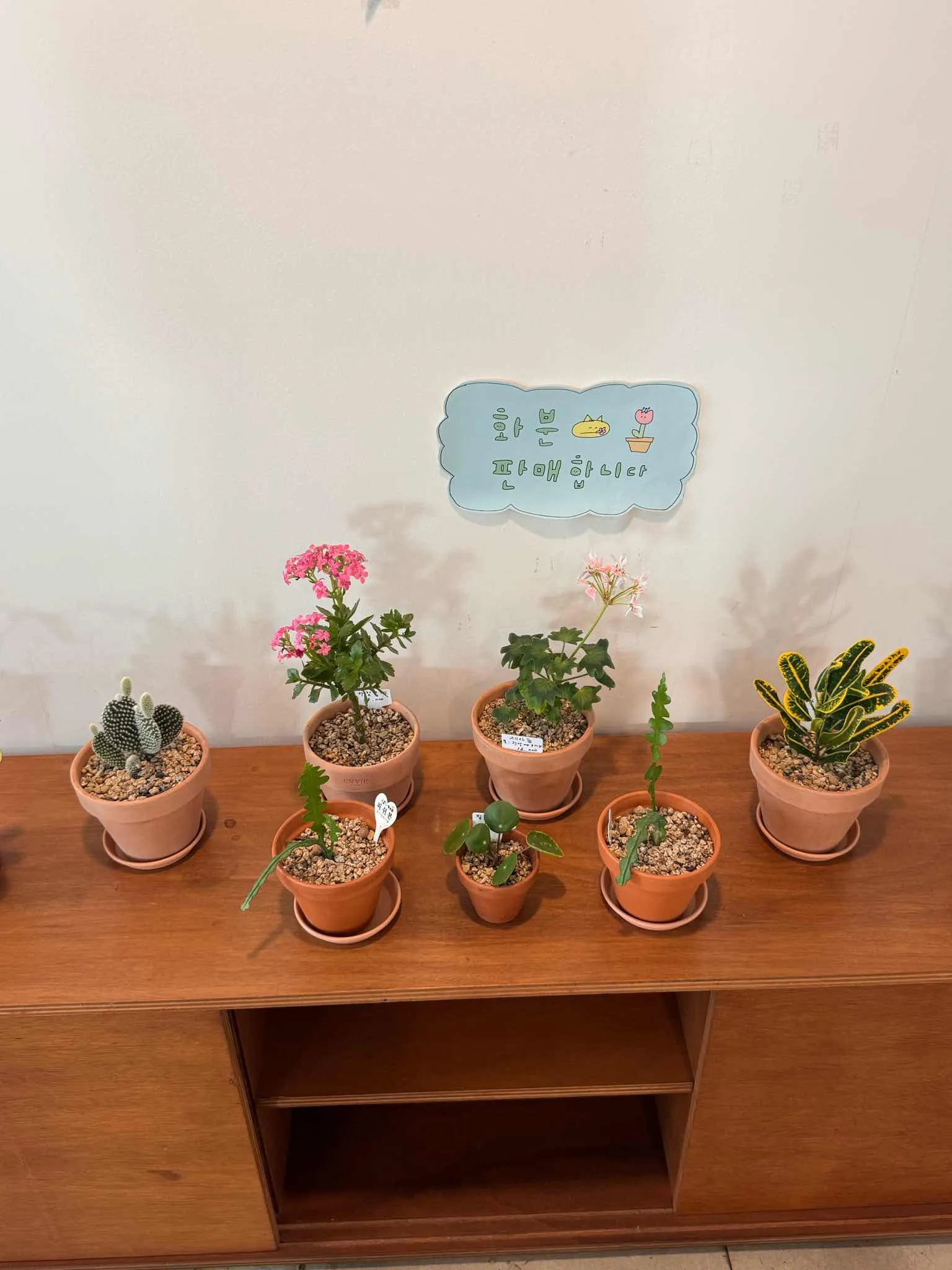 대표 사진 3