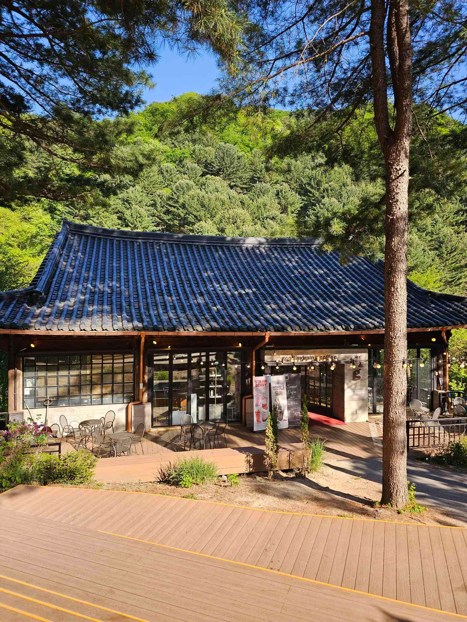 대표 사진 3