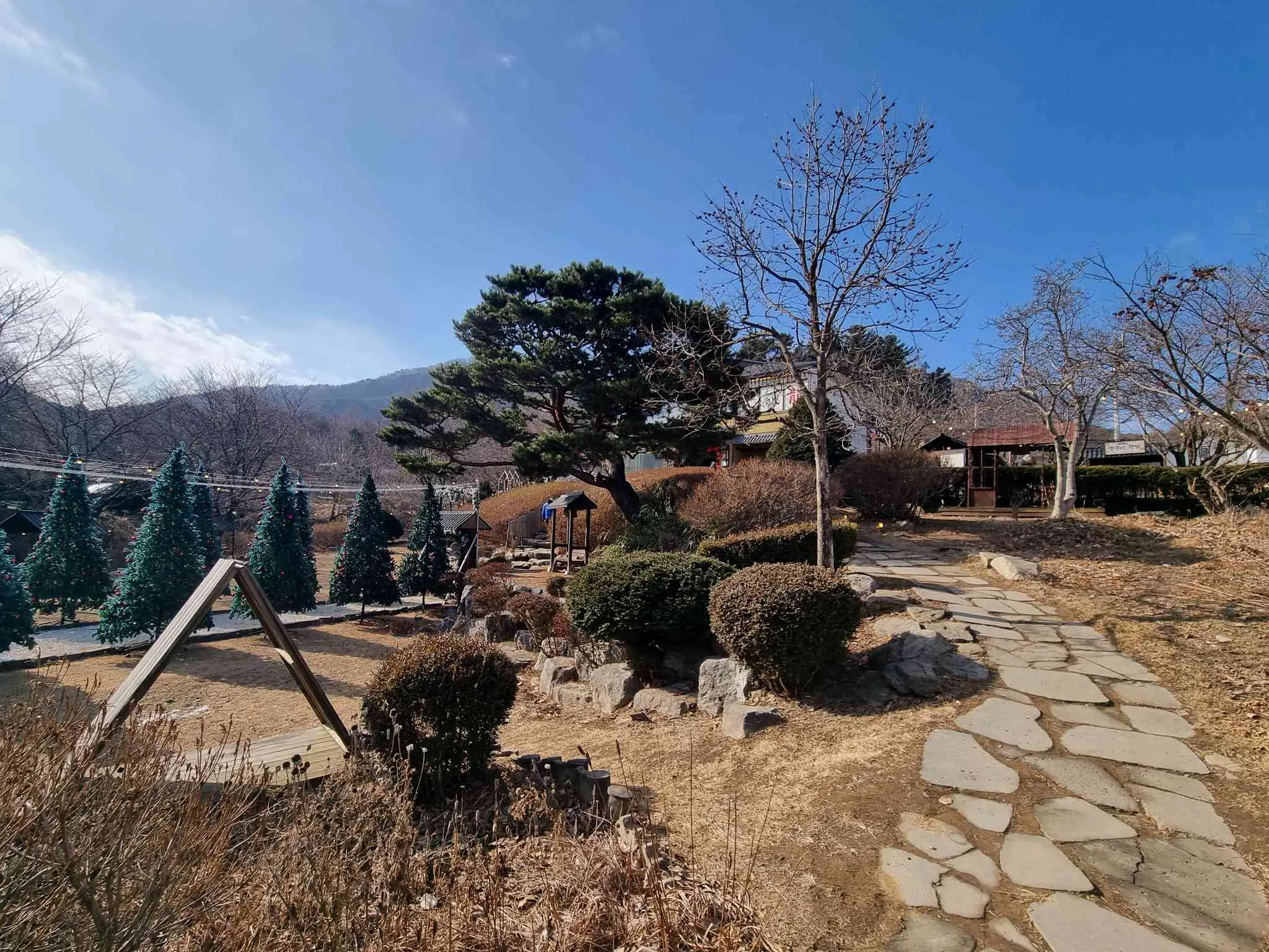 대표 사진 3