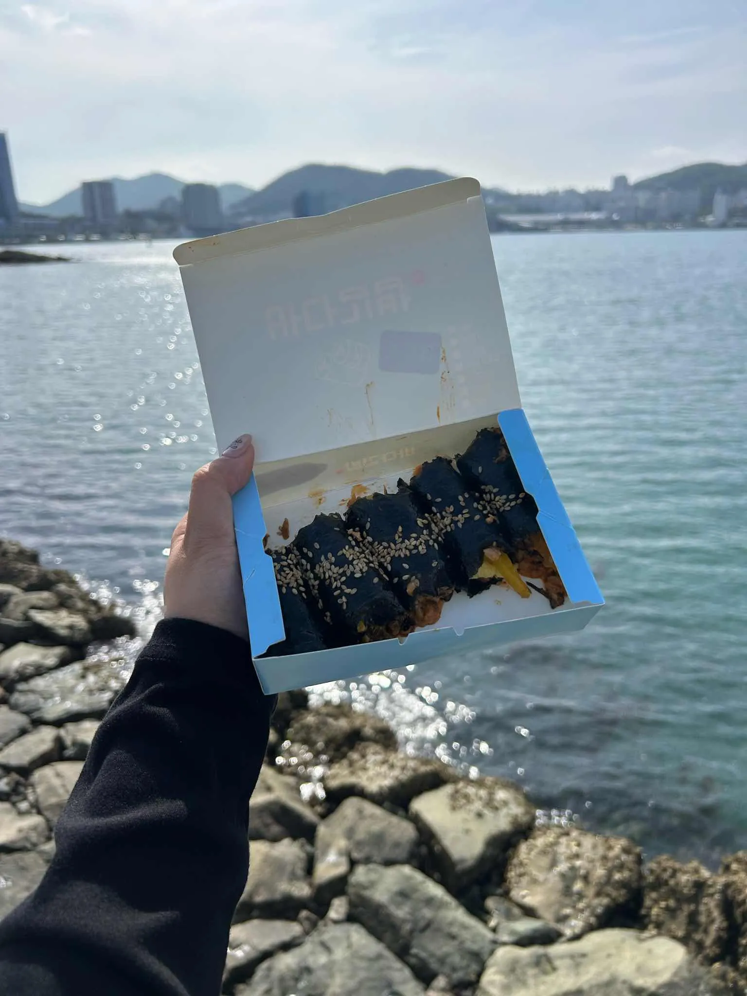 대표 사진 0