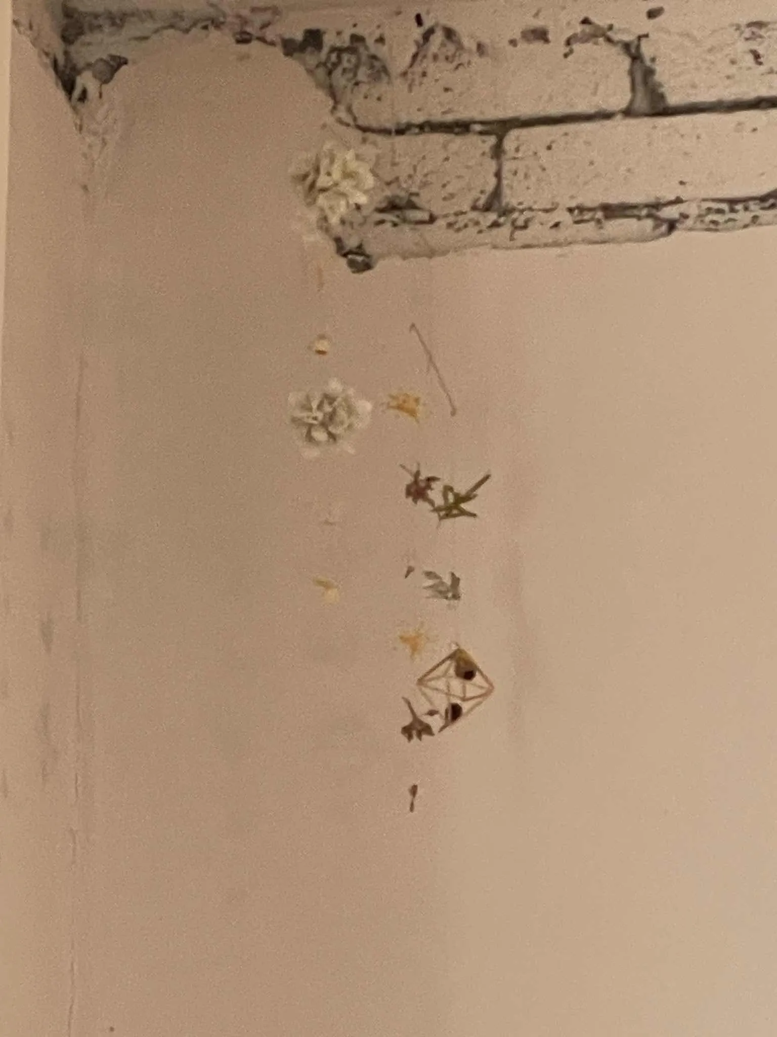 대표 사진 4