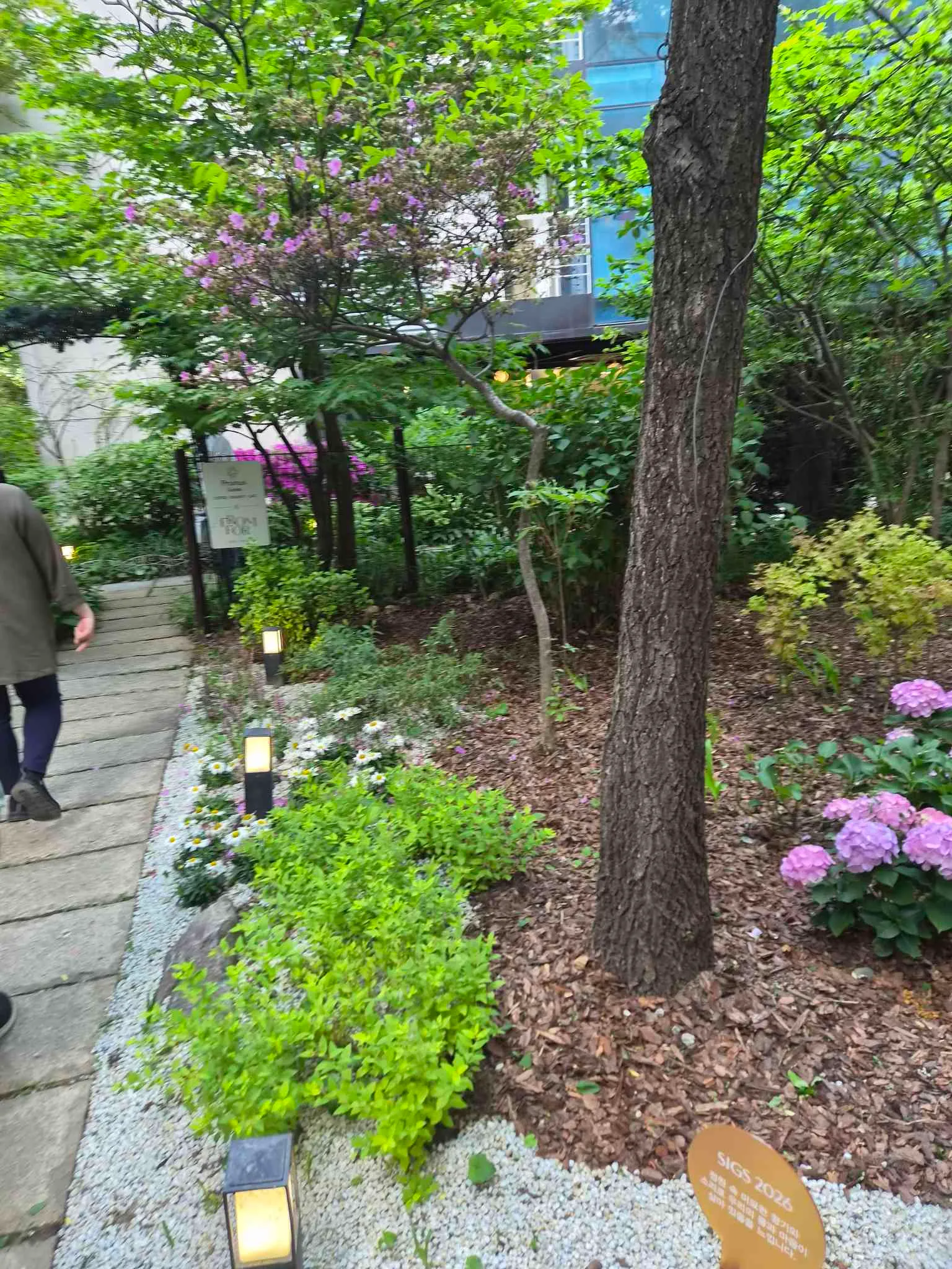 대표 사진 3