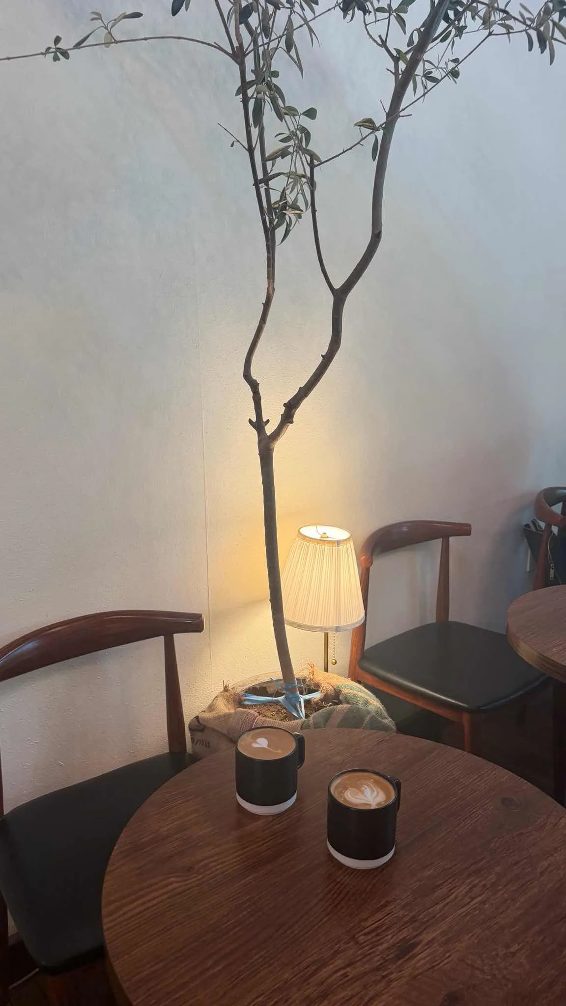 대표 사진 4