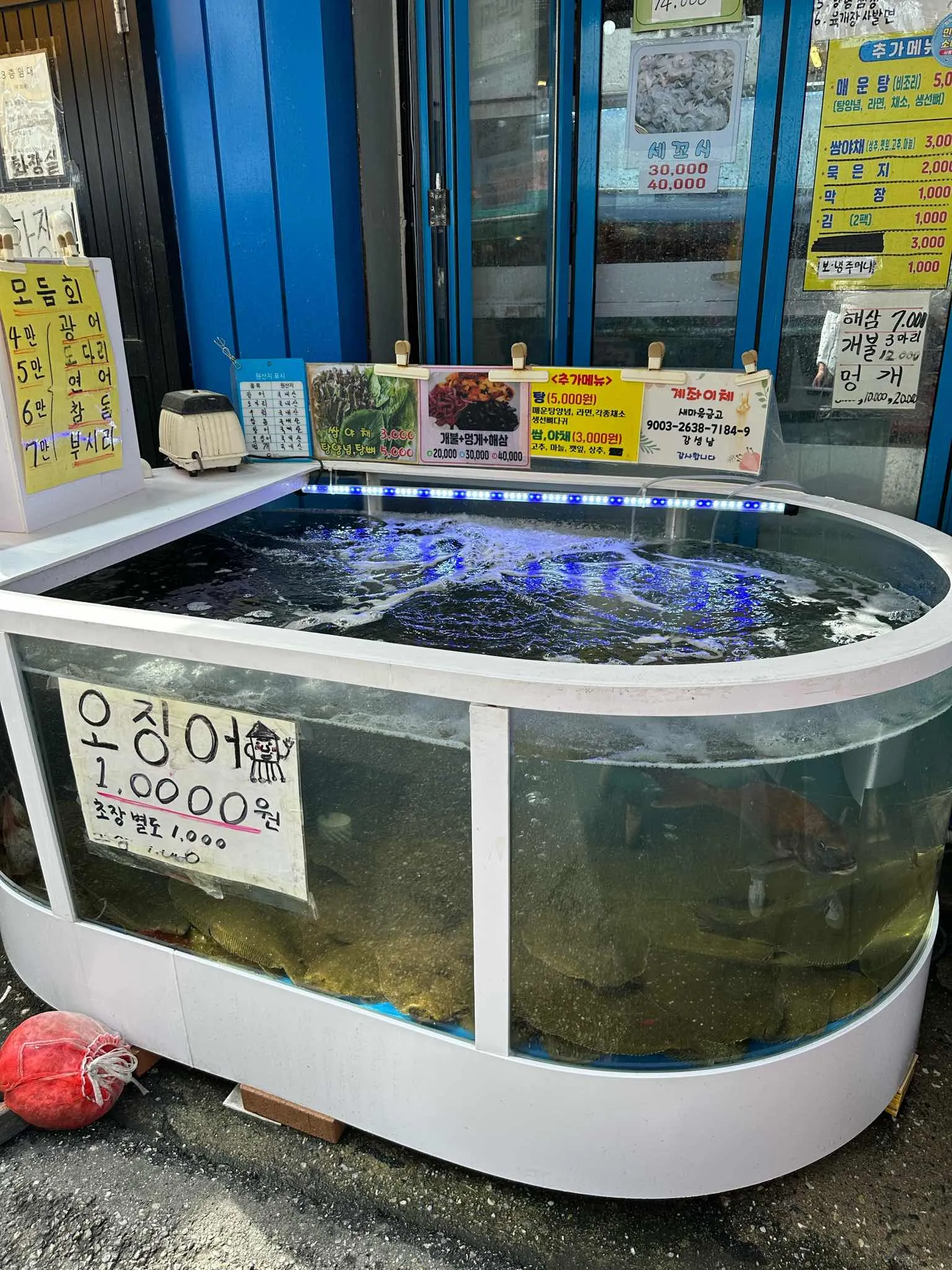 대표 사진 4