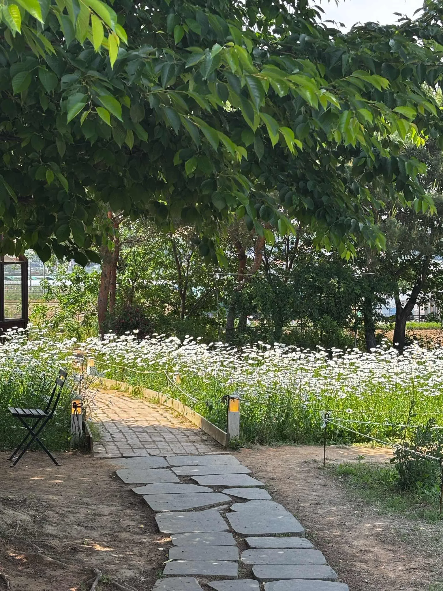 대표 사진 3
