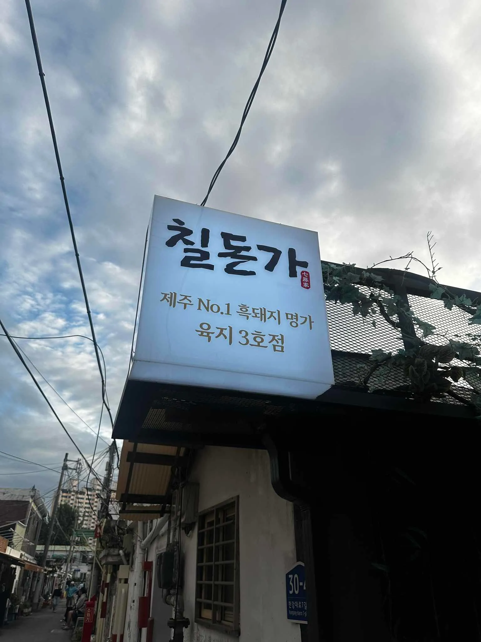대표 사진 4