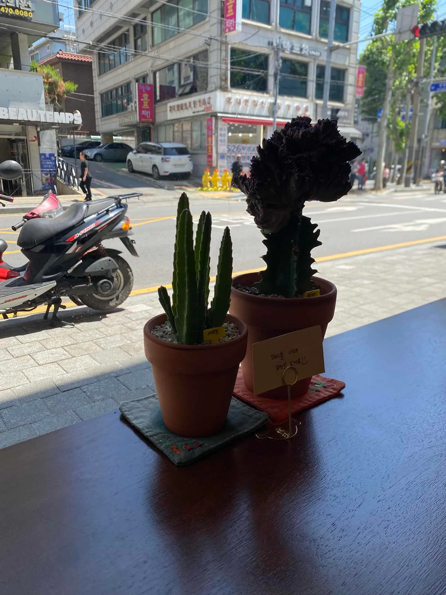 대표 사진 2