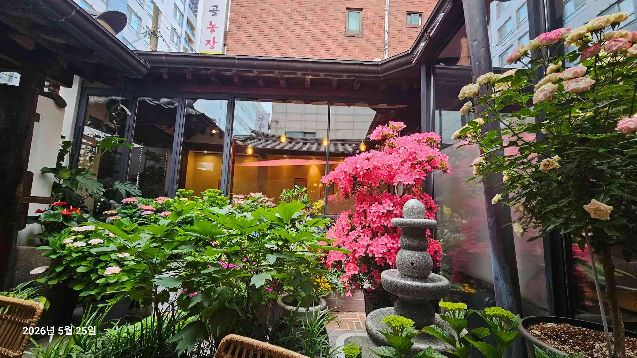 대표 사진 2