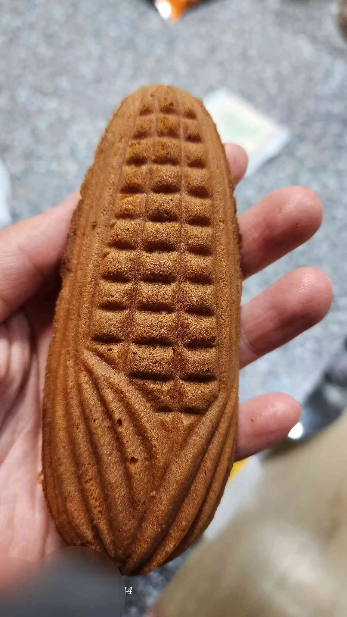 대표 사진 3