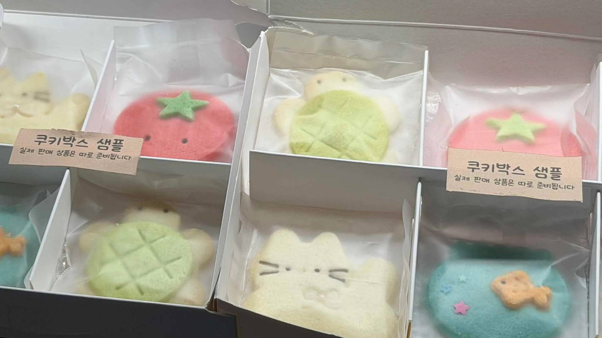 대표 사진 4