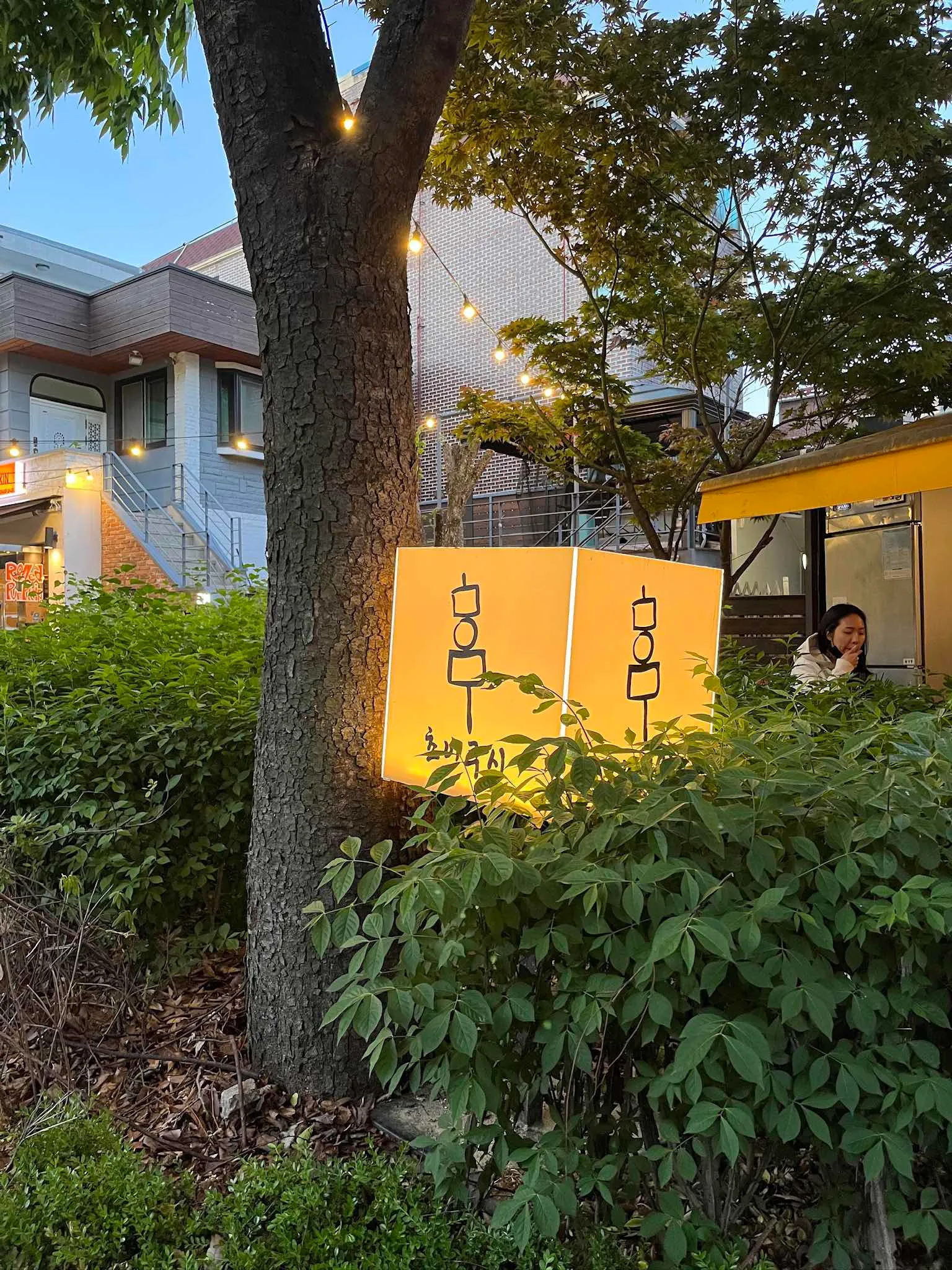 대표 사진 3