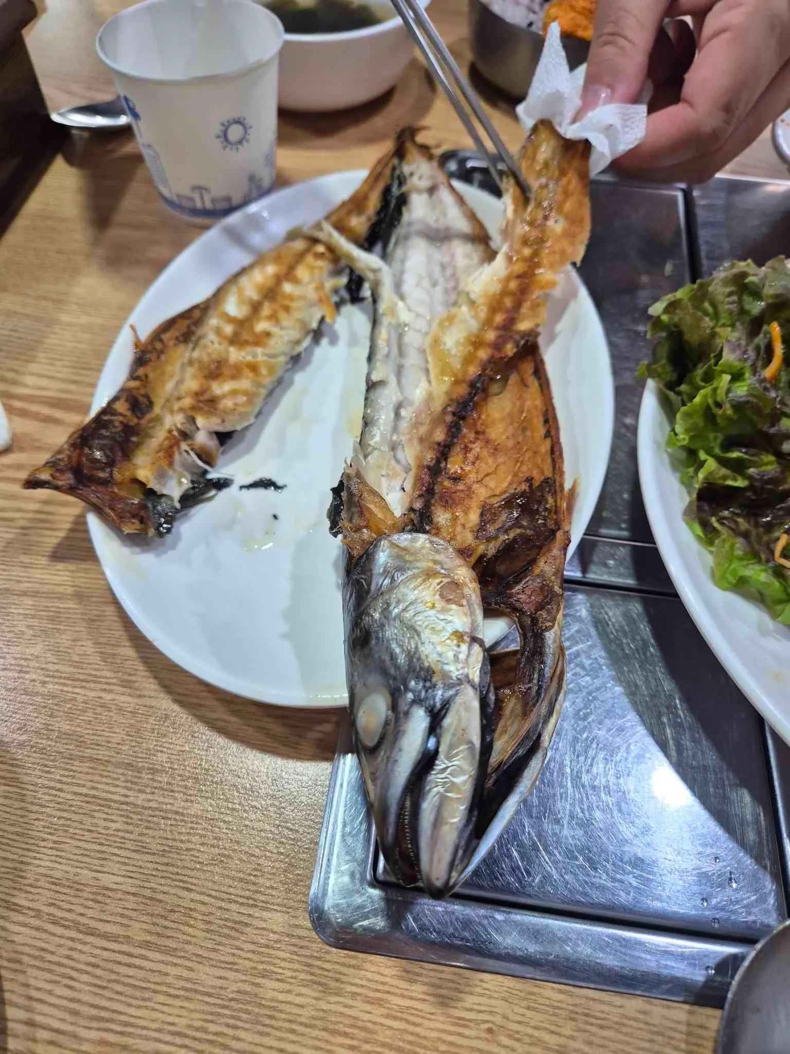 대표 사진 1