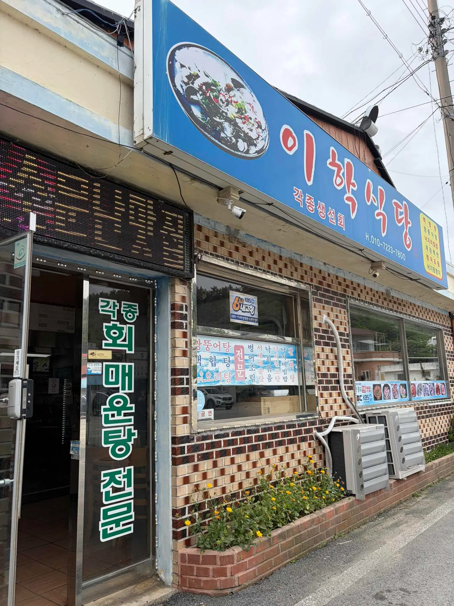 대표 사진 4