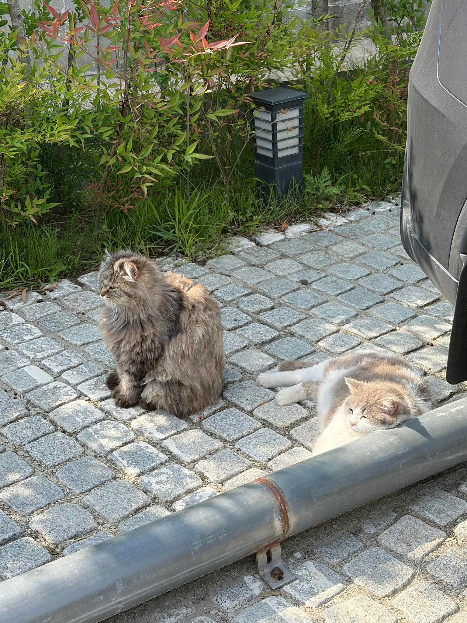 대표 사진 3