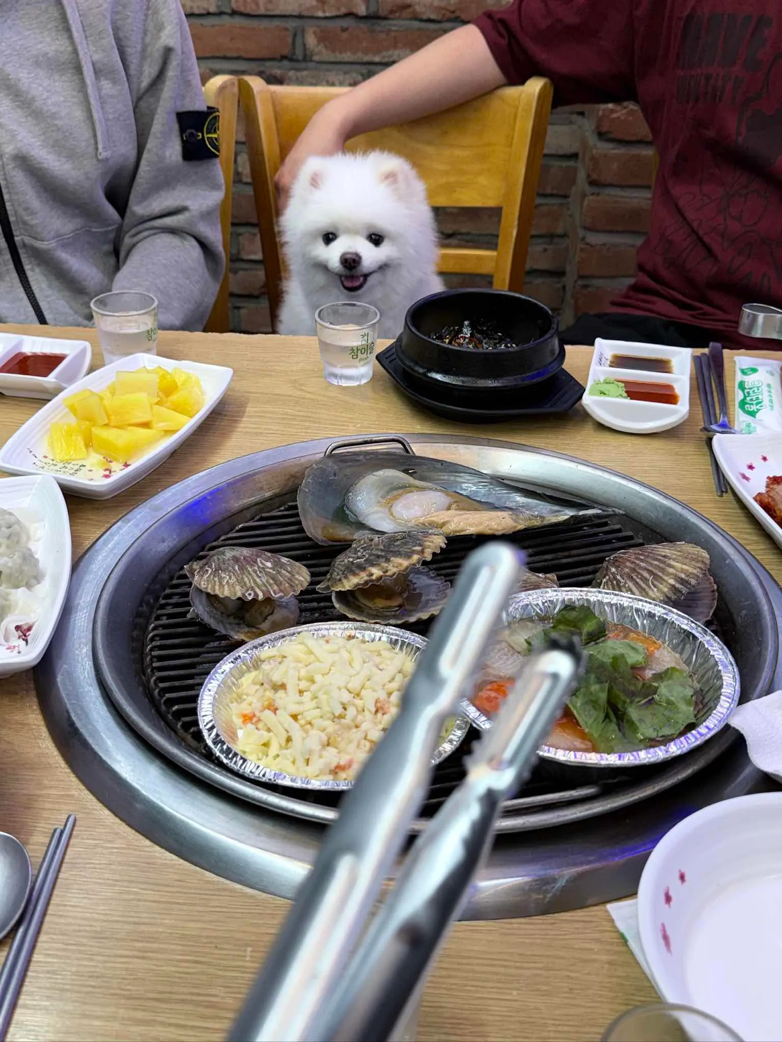 대표 사진 1