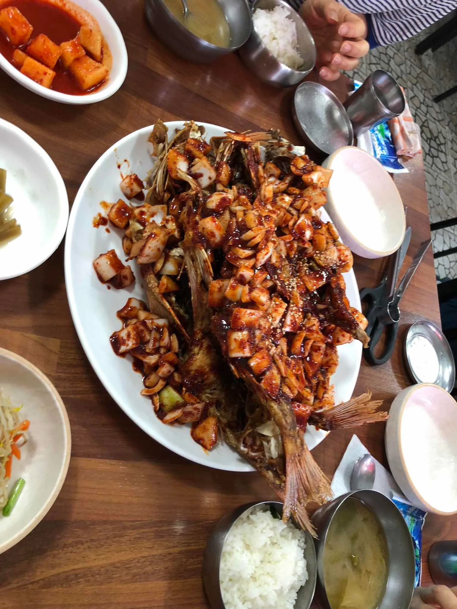 대표 사진 4
