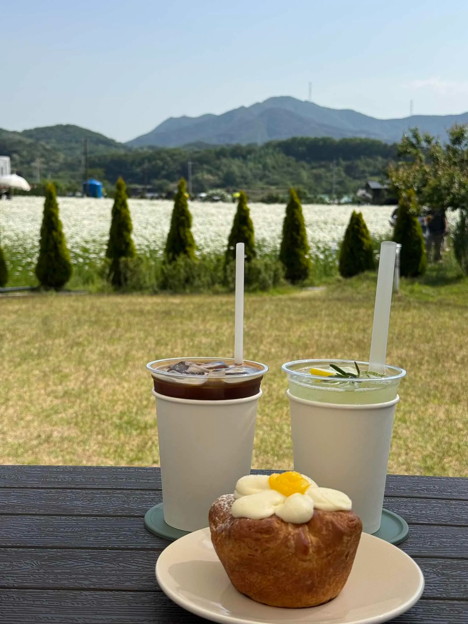 대표 사진 4
