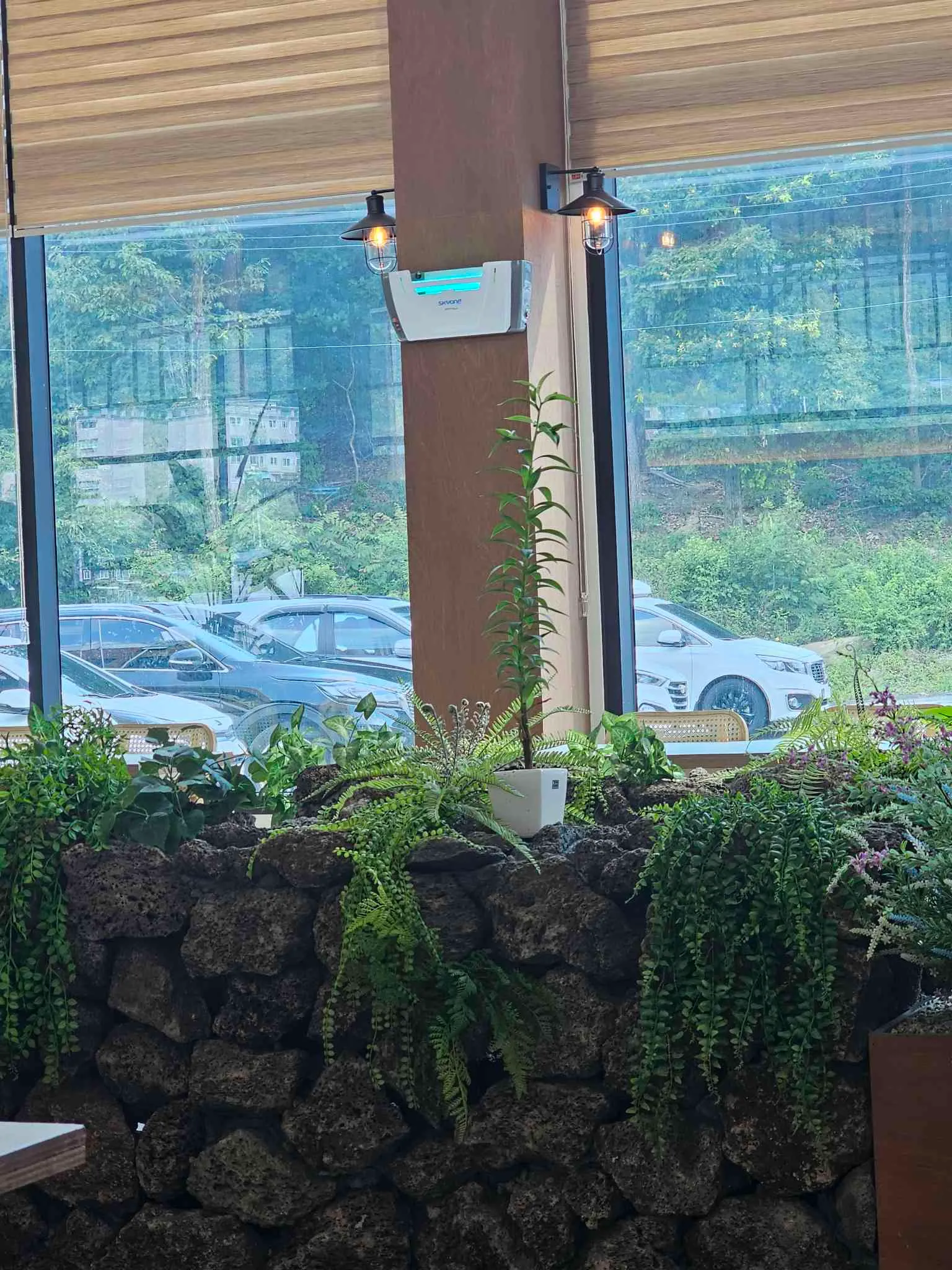 대표 사진 3
