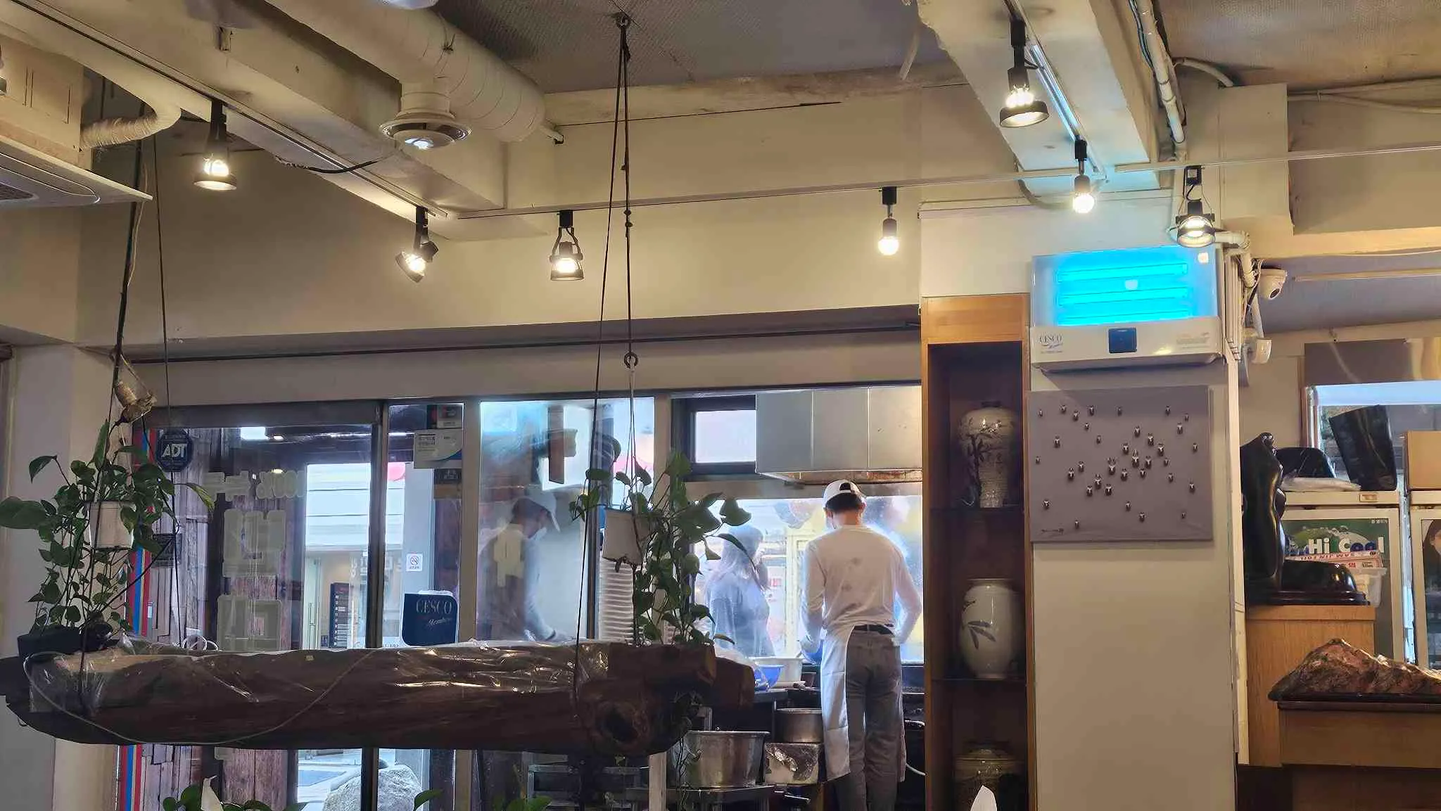 대표 사진 2