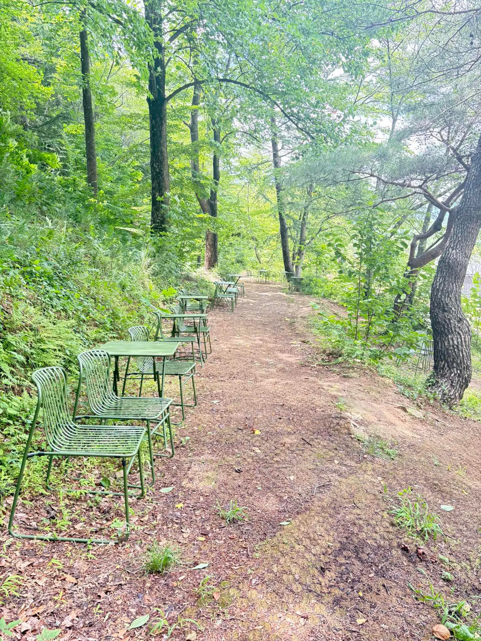 대표 사진 3