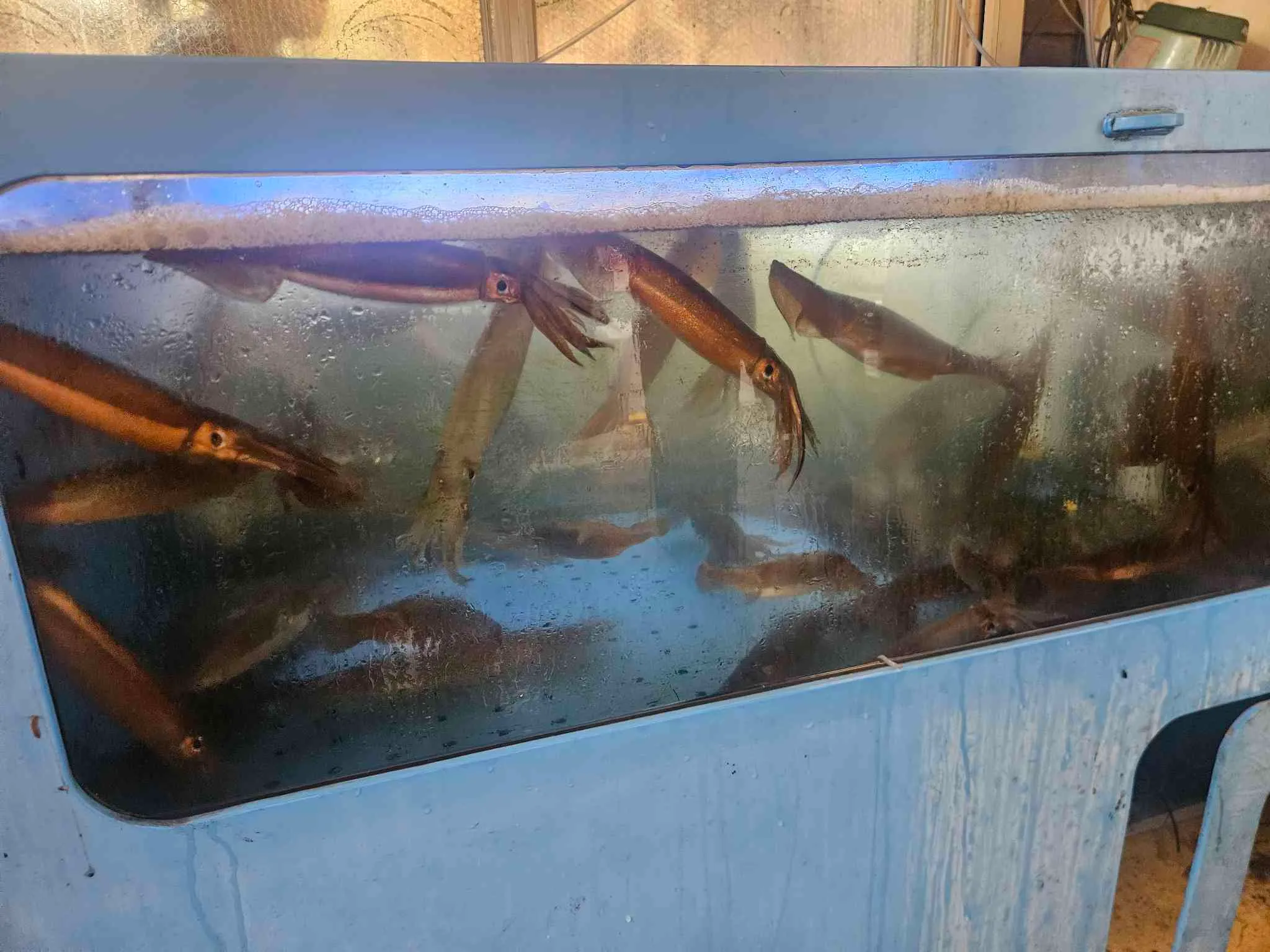 대표 사진 4
