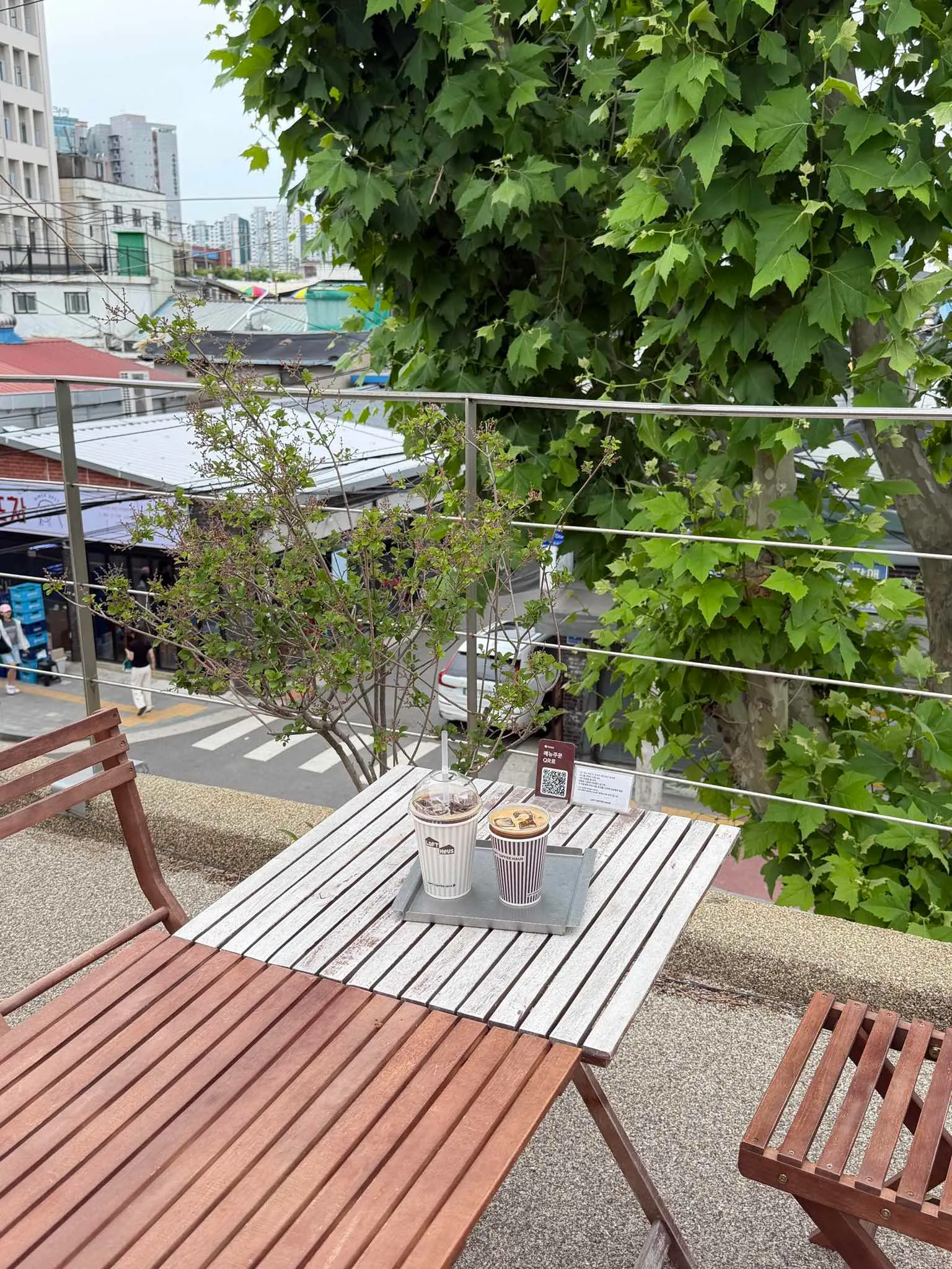 대표 사진 4