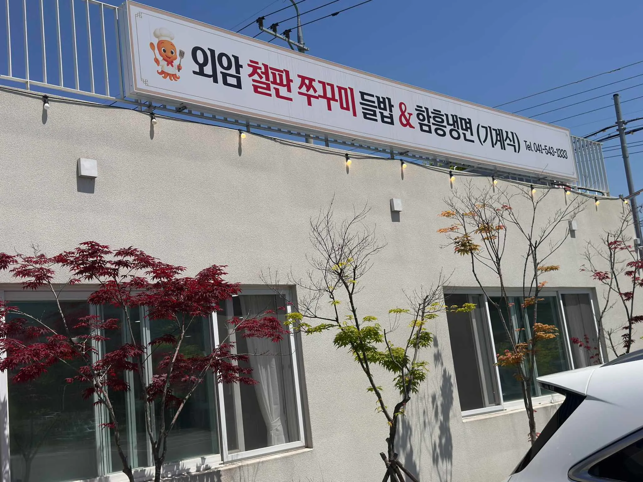 대표 사진 3