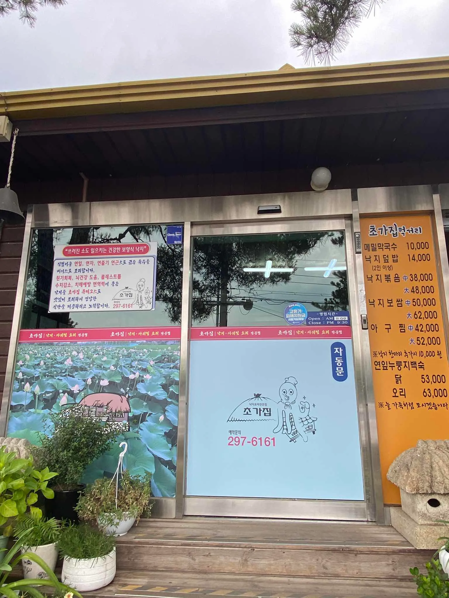 대표 사진 0