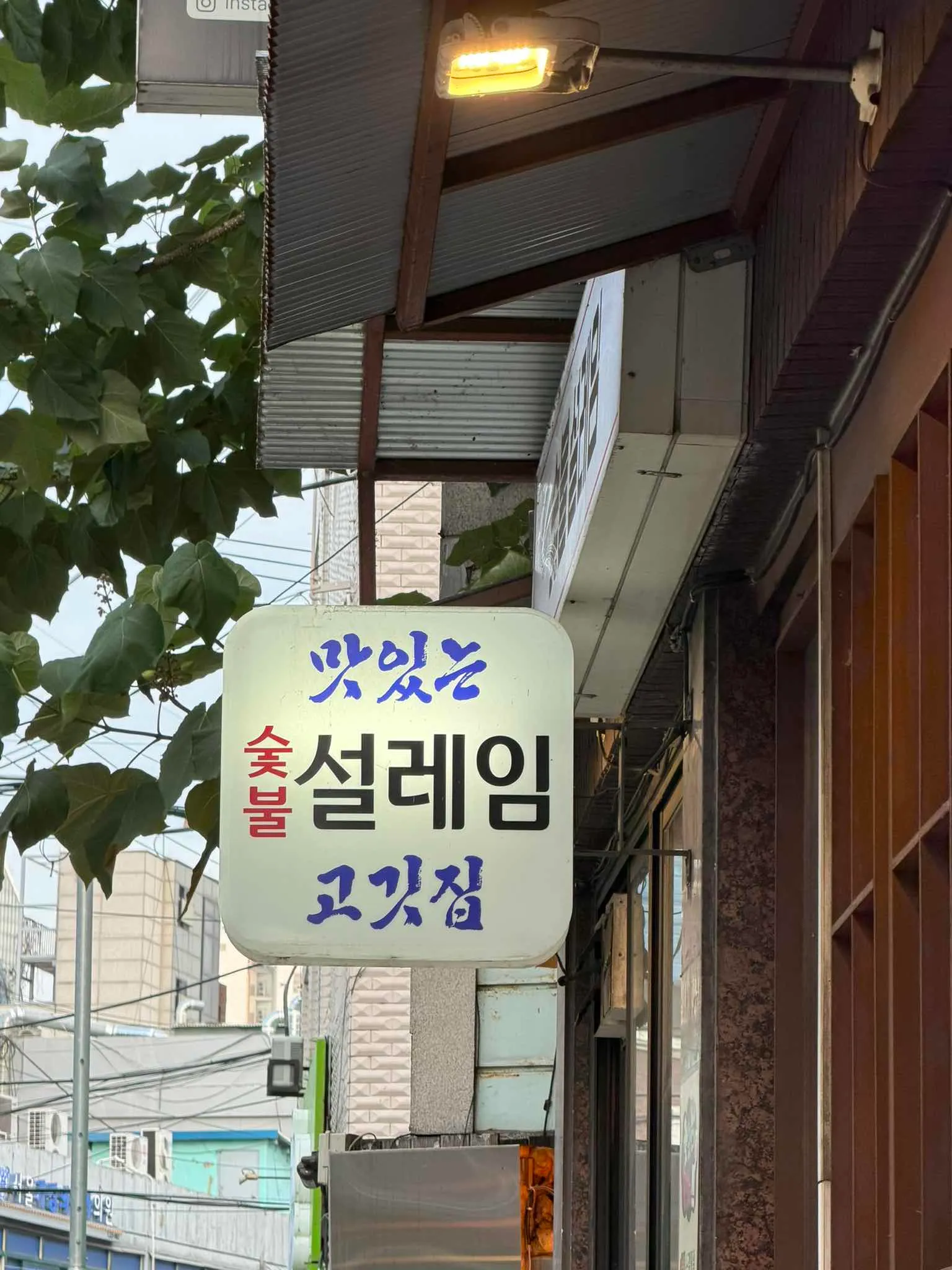 대표 사진 4