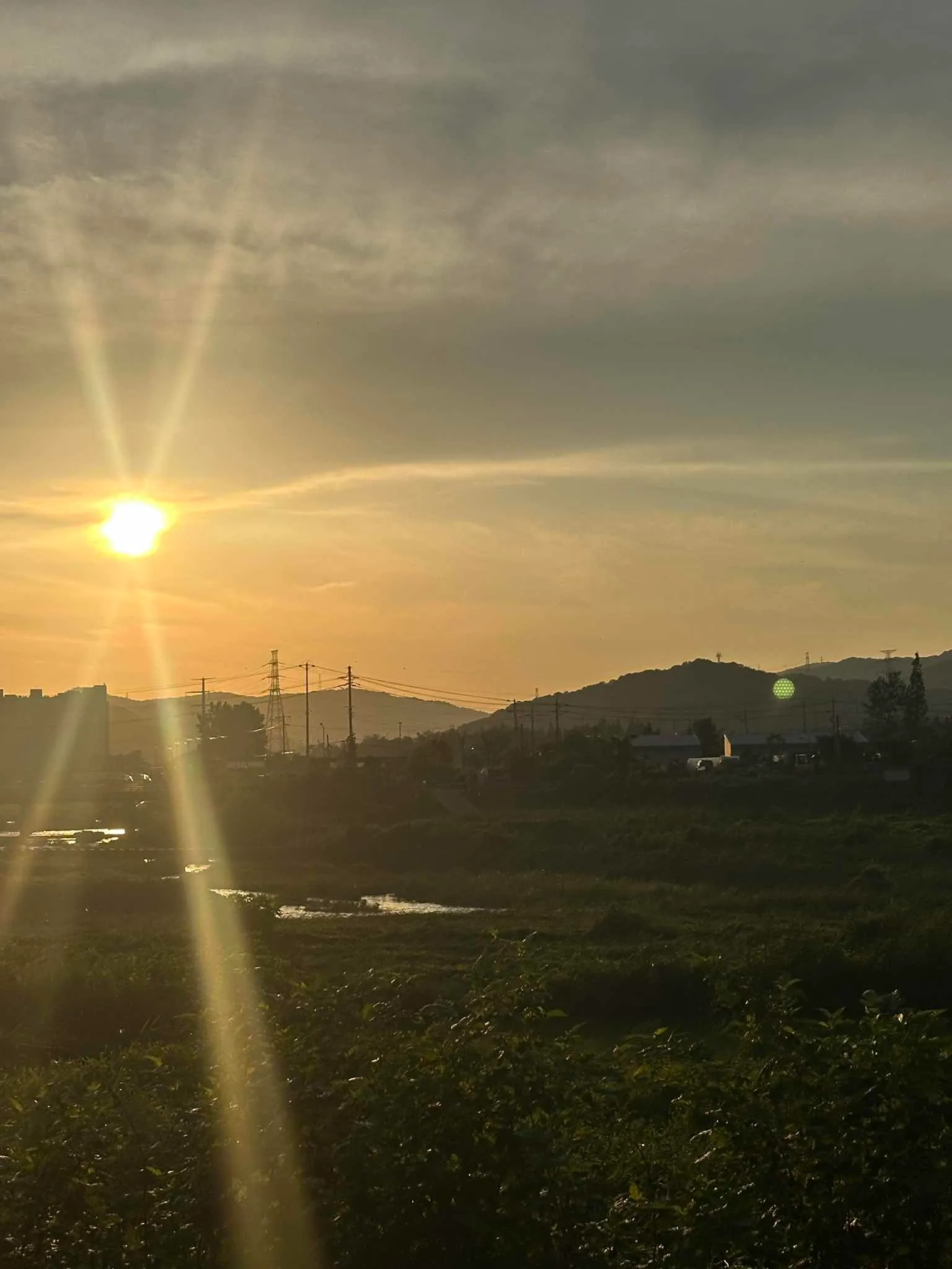 대표 사진 3