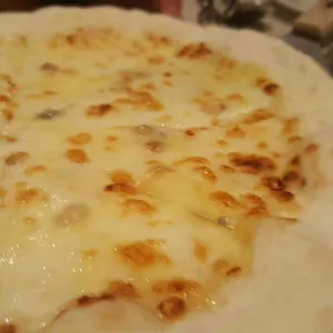 팀 사진