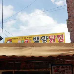 백양닭집 리뷰 사진