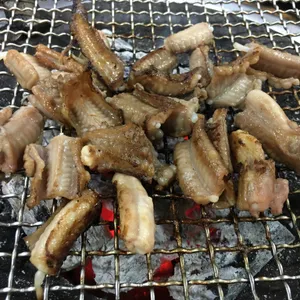 기장꼼장어 사진