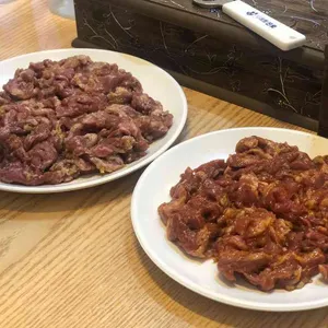 부산갈매기 사진