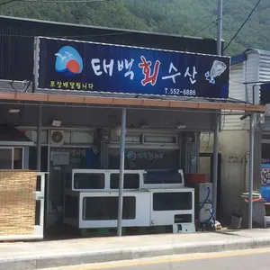 태백회수산 리뷰 사진