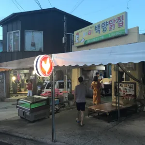 백양닭집 리뷰 사진