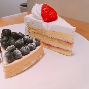 한스 리뷰 사진