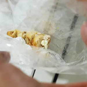 카페코지 사진