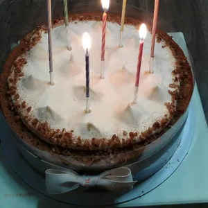 한스 사진