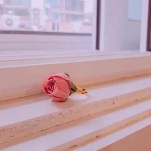사흘카레 사진