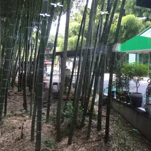 죽림원가든 리뷰 사진