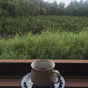 와랑와랑 사진