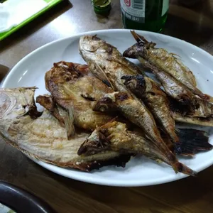 산꼼파 사진